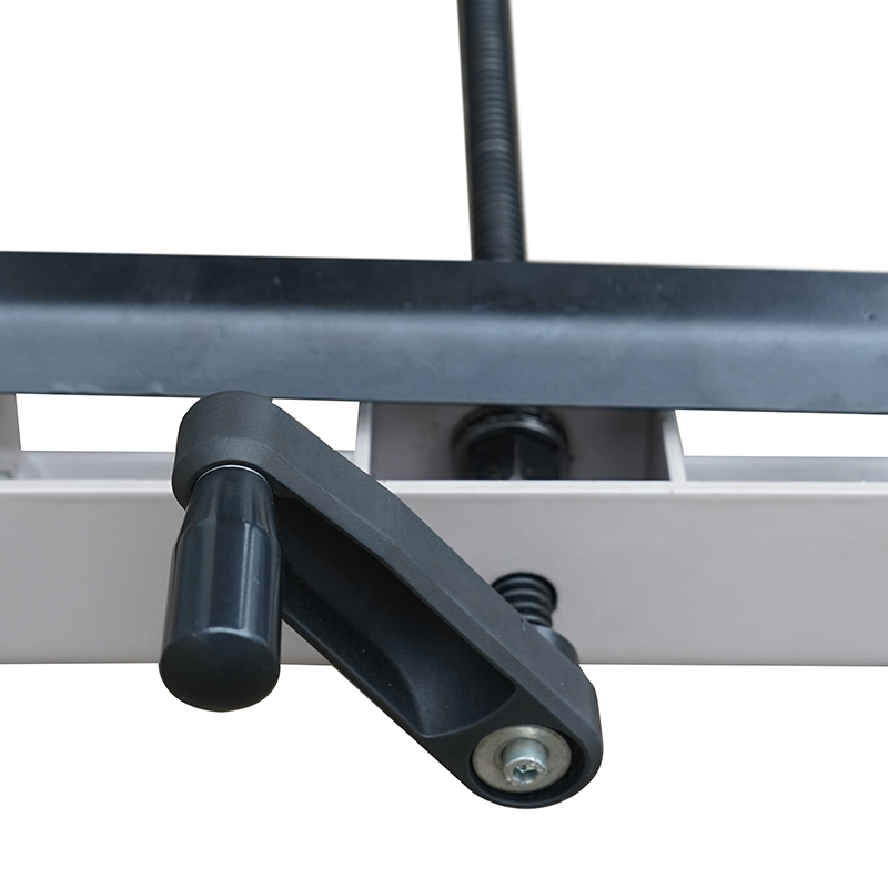 Camión plataforma elevadora manual de pesaje CPT300